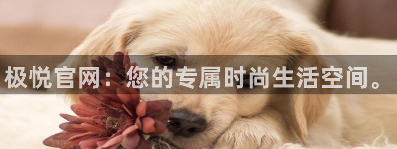 伟德国际集团 壹号(one game)：极悦官网：您的专属时尚生活空间。