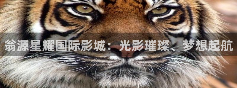 威廉希尔(williamhill)手机客户端下载安装：翁源星耀国际影城：光影璀璨、梦想起航