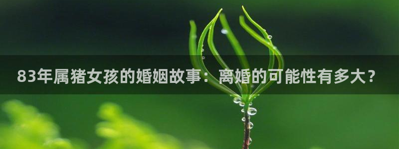 威廉希尔(williamhill)平台官方网站：83年属猪女孩的婚姻故事：离婚的可能性有多大？