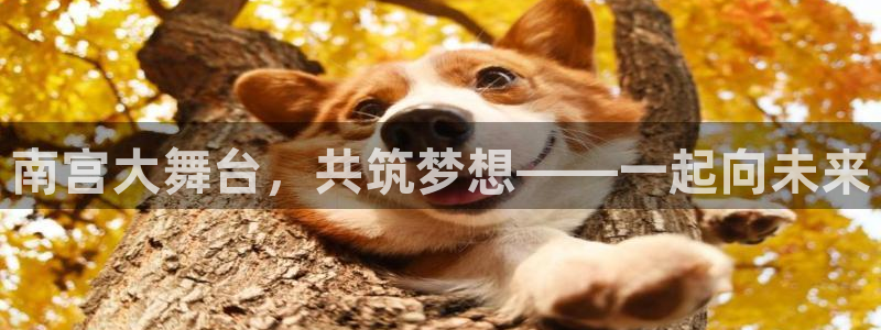威廉希尔(williamhill)网站平台：南宫大舞台，共筑梦想——一起向未来