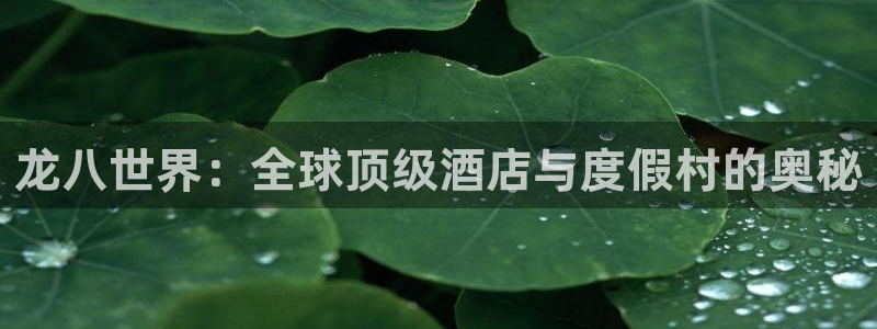 壹号app官网：龙八世界：全球顶级酒店与度假村的奥秘