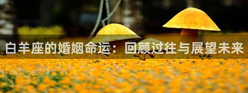 壹号app下载苹果：白羊座的婚姻命运：回顾过往与展望未来
