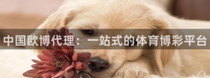 威廉希尔(williamhill)娱乐：中国欧博代理：一站式的体育博彩平台