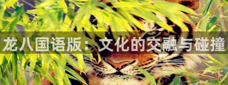 威廉希尔(williamhill).ccmpc29官网版下载：龙八国语版：文化的交融与碰撞
