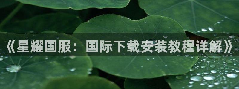 壹号官方app下载安装：《星耀国服：国际下载安装教程详解》