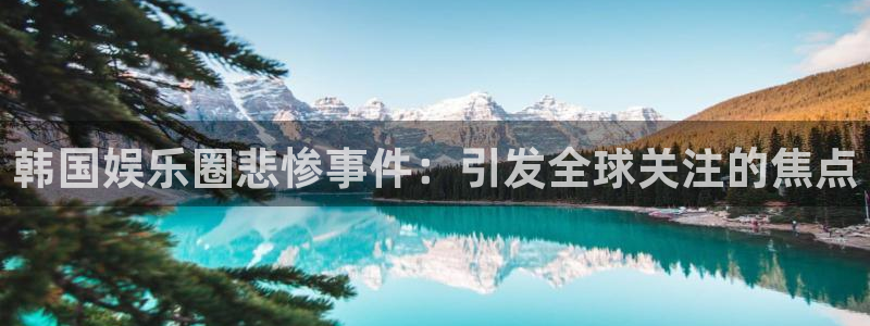 威廉希尔(williamhill)是啥：韩国娱乐圈悲惨事件：引发全球关注的焦点