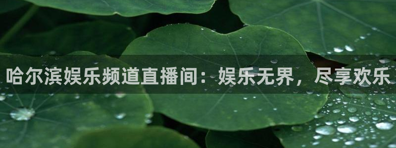 威廉希尔(williamhill).ccmpc登录：哈尔滨娱乐频道直播间：娱乐无界，尽享欢乐
