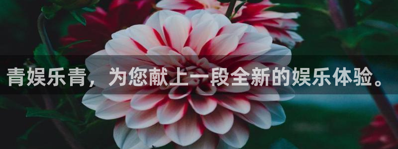 威廉希尔(williamhill)官网地址：青娱乐青，为您献上一段全新的娱乐体验。