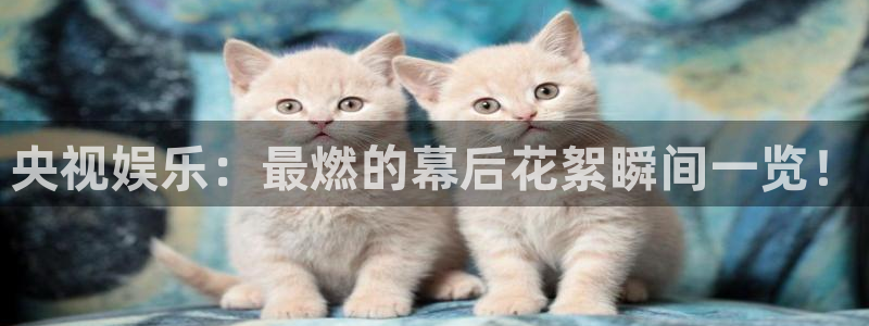 威廉希尔(williamhill)账号注册
