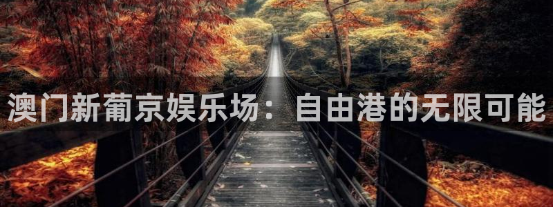 威廉希尔(williamhill)平台官网版下载：澳门新葡京娱乐场：自由港的无限可能