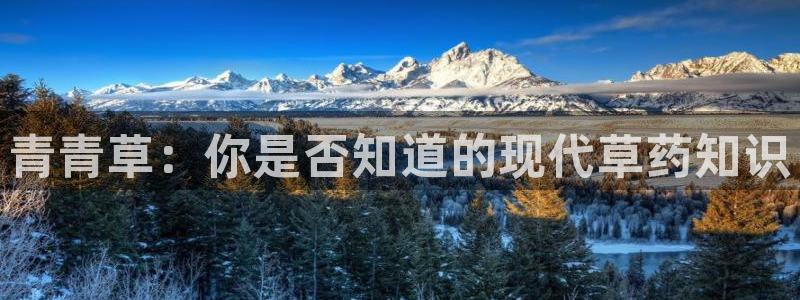 威廉希尔(williamhill)电子游戏官网：青青草：你是否知道的现代草药知识