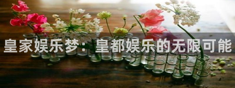威廉希尔(williamhill)怎么下载：皇家娱乐梦：皇都娱乐的无限可能