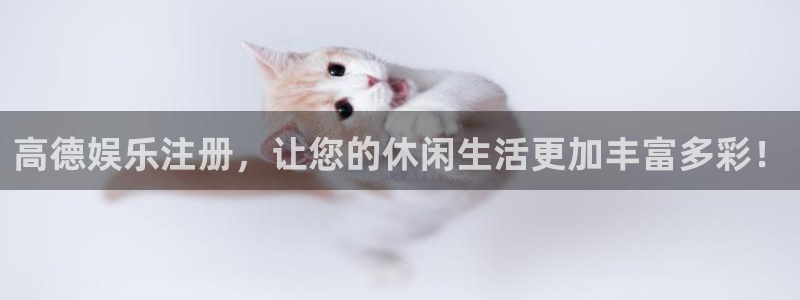 伟德国际集团 壹号(one game)：高德娱乐注册，让您的休闲生活更加丰富多彩！