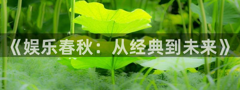 苹果版威廉希尔(williamhill)下载安装