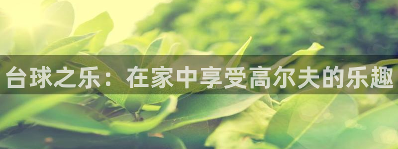 威廉希尔(williamhill)平台登录：台球之乐：在家中享受高尔夫的乐趣