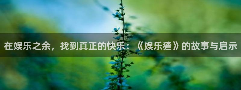 威廉希尔(williamhill)app注册地址：在娱乐之余，找到真正的快乐：《娱乐猹》的故事与启示