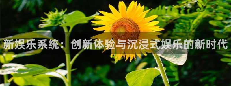 威廉希尔(williamhill)：新娱乐系统：创新体验与沉浸式娱乐的新时代