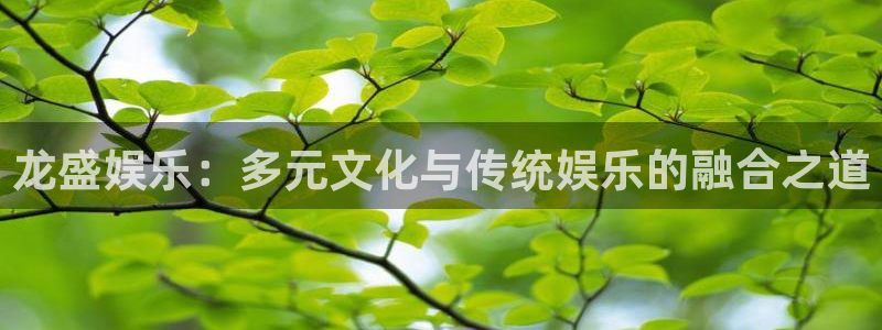 威廉希尔(williamhill)平台app下载安装：龙盛娱乐：多元文化与传统娱乐的融合之道