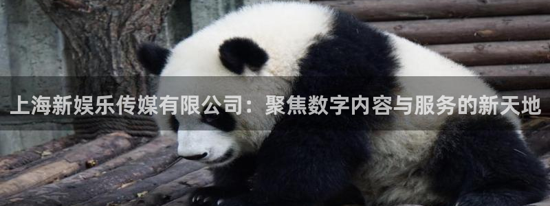 威廉希尔(williamhill).com：上海新娱乐传媒有限公司：聚焦数字内容与服务的新天地