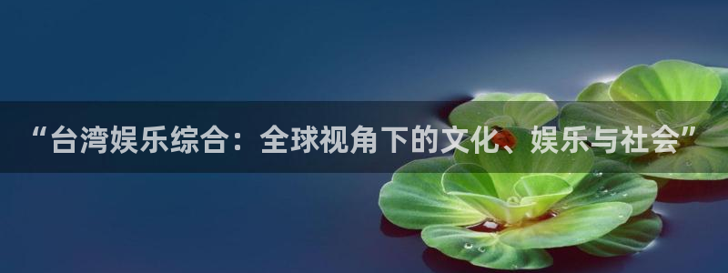 壹号大舞台怎么注册：“台湾娱乐综合：全球视角下的文化、娱乐与社会”