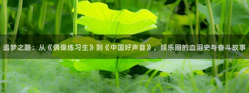 壹号官方app下载安装：追梦之路：从《偶像练习生》到《中国好声音》，娱乐圈的血泪史与奋斗故事