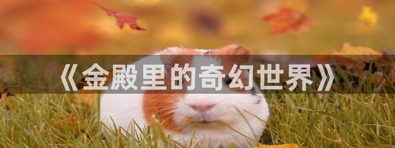 威廉希尔(williamhill)app哪个模式容易赢：《金殿里的奇幻世界》