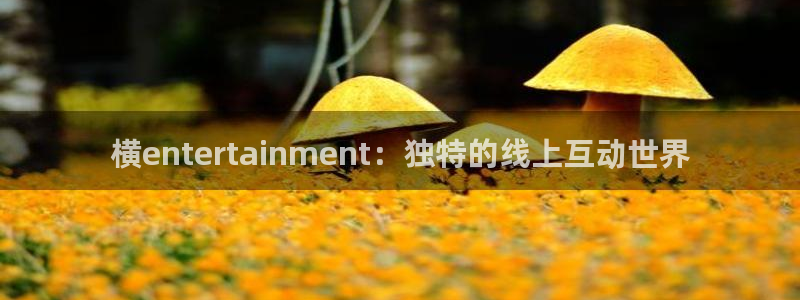 威廉希尔(williamhill)是赌博吗：横entertainment：独特的线上互动世界