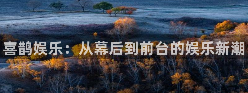 威廉希尔(williamhill)平台链接：喜鹊娱乐：从幕后到前台的娱乐新潮
