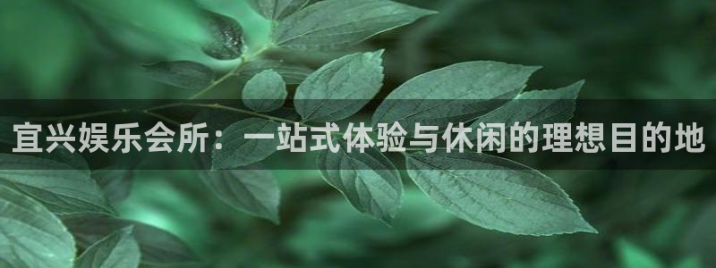 壹号电子娱乐app下载安装：宜兴娱乐会所：一站式体验与休闲的理想目的地