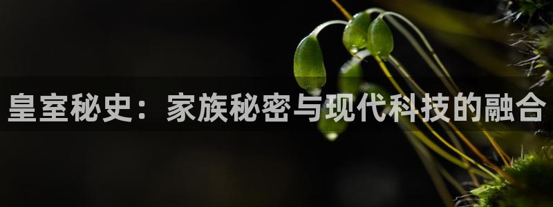 电子游戏威廉希尔(williamhill)：皇室秘史：家族秘密与现代科技的融合