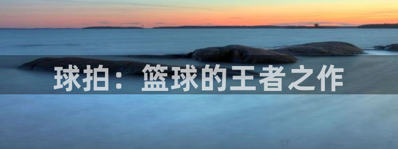 威廉希尔(williamhill).ccmpc登录：球拍：篮球的王者之作