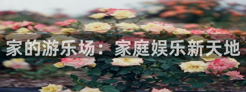 威廉希尔(williamhill)有梦你就来：家的游乐场：家庭娱乐新天地